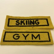 Cover image of Athletic  Patch 